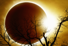 У жовтні відбудеться кільцеве сонячне затемнення: коли і де його спостерігати