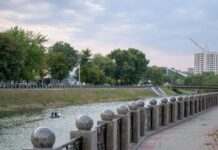 У Харкові розпилюють препарати на основі грибів та бактерій: для чого це потрібно