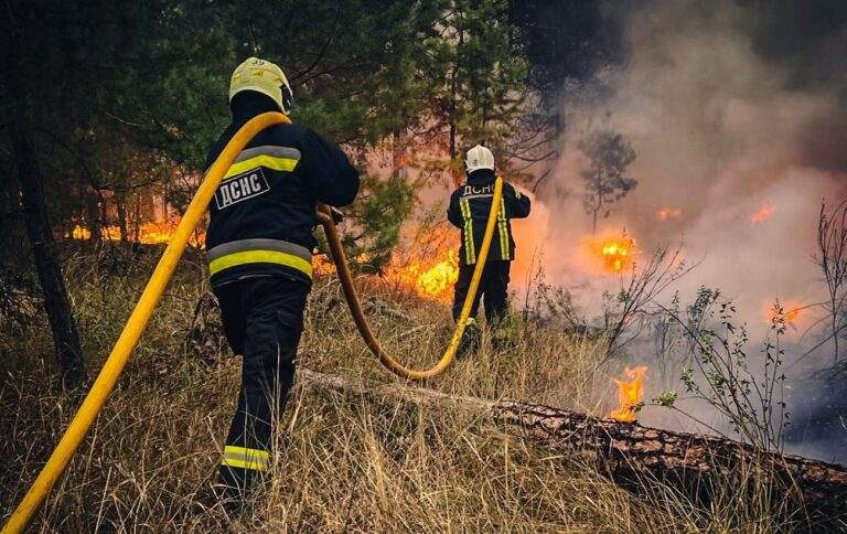 Диверсанти чи людський фактор? Чому Україну охопили лісові пожежі