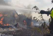 Пожежі не вщухають: вогнеборці Дніпропетровщини працюють на межі своїх можливостей