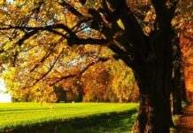 Прогноз погоди на вересень: що очікувати від першого місяця осені