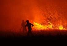 У Полтавській області палає ліс між селами: як рятують людей від вогню (фото)