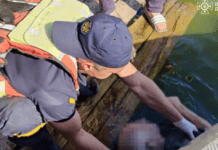 У Дніпрі на березі річки виявили тіло чоловіка без ознак життя