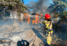 Попри застереження рятувальників пожежі в екосистемах Дніпропетровщини не вщухають