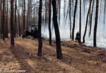 У Павлоградському районі ліквідували лісову пожежу