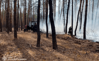 У Павлоградському районі ліквідували лісову пожежу