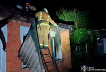 У Нікопольському районі на пожежі загинула жінка