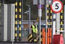 Митна система Польщі працює в аварійному режимі: що сталося