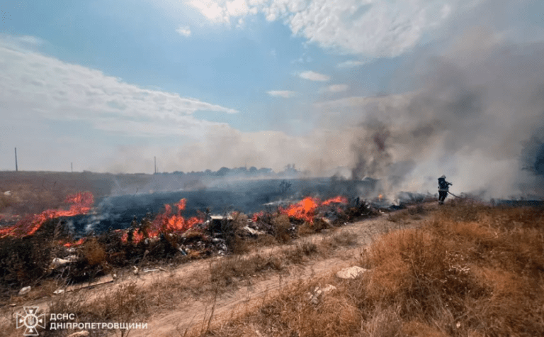 За добу на території Дніпропетровщини ліквідовано 66 пожеж у природних екосистемах