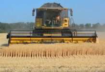 У дев’яти областях України запустили виплати для фермерів: що потрібно знати