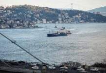 Що дасть зона вільної торгівлі з Туреччиною: відповідь посла України