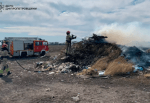 38 га екосистем загасили рятувальники Дніпропетровщини протягом доби
