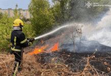 На Дніпропетровщині протягом доби вогонь знищив понад 20 га природних екосистем
