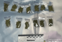 Правоохоронці м. Синельникове затримала 35-річного містянина за збут канабіса