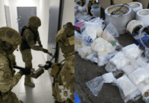 Виготовляли майже тонну наркотичних речовин щоміся: поліцейські ліквідували мережу міжрегіональних наркоугруповань