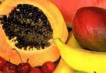 Фрукт, який спалює жир: дізнайтеся, як правильно його вживати