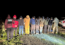 Прикордонники затримали 19 ухилянтів, яких адмін анонімного телеграм-каналу відправив у піший тур через кордон