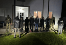 На Закарпатті викрили групу ділків, які переправляли через кордон військовозобов’язаних українців