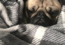 Холодно не буде: яку ковдру краще вибрати на осінь