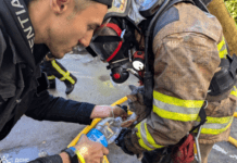 Кожне життя важливе: на пожежі у багатоповерхівці вогнеборці Запоріжжя врятували кота