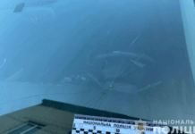 На Дніпропетровщині пʼяний чоловік погрожував сокирою правоохоронцям та пошкодив службове авто