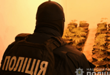 Запорізькі поліцейські припинили діяльність наркоаграрія