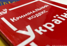 Обіцяла допомогти з покупками та обікрала: поліцейські П’ятихаток викрили зловмисницю