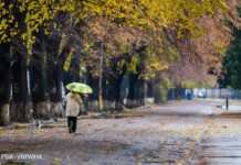 Українців попередили про сильні заморозки найближчими днями: де чекати похолодання