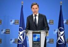 Були сигнали про підтримку. Генсек НАТО оцінив план перемоги України