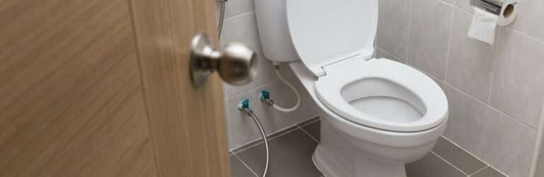 Наліт на унітазі: як позбутися його за допомогою домашніх засобів