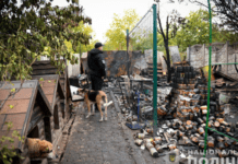 Запорізькі поліцейські відкрили кримінальне провадження за фактом пожежі в притулку для тварин