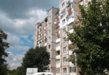 Викинув кошеня з вікна: у Запоріжжі відкрили кримінальне провадження за фактом жорстокого поводження з твариною