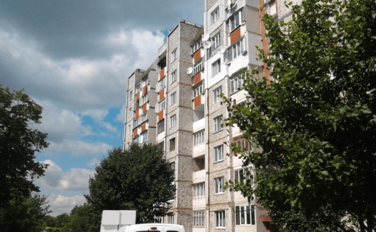 Викинув кошеня з вікна: у Запоріжжі відкрили кримінальне провадження за фактом жорстокого поводження з твариною