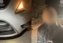 Викрала авто і скоїла ДТП — патрульні виявили неповнолітню порушницю