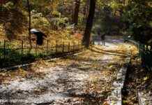 Холодніше майже на 10 градусів і заморозки: прогноз Укргідрометцентру на жовтень