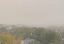 Пилова буря в Україні протримається до кінця тижня — Укргідрометцентр