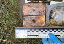 У Новомосковському районі поліцейські затримали чоловіка, який підірвав гранату