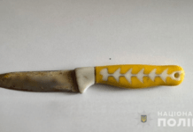 Встромила ніж у спину власному чоловіку: поліцейські Верхньодніпровська повідомили жінці про підозру