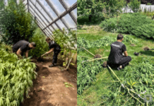 Запорізькі поліцейські припинили діяльність сімох наркоділків: деталі