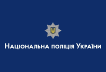 Правоохоронці Запоріжжя проводять досудове розслідування за фактом побиття дівчини: подробиці
