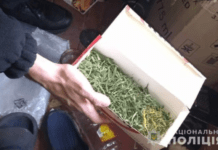 У Новомосковському районі поліцейські викрили двох чоловіків у зберіганні наркотиків та вирощуванні нарковмісних рослин