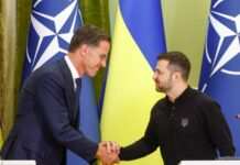Генсек НАТО: рішення щодо мирних переговорів та прийнятних умов – це справа України
