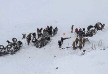 На півночі Туреччини шестеро людей потрапили у снігову пастку