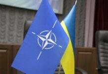 Politico: сім країн НАТО «не поспішають» запросити Україну приєднатися до альянсу
