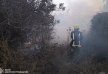 На Дніпропетровщині протягом доби надзвичайники ліквідували 97 пожеж в екосистемах