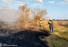 Вогнеборці Дніпропетровщини ліквідували 76 пожеж у природних екосистемах