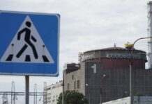 Вдруге за місяць. Запорізька АЕС понад добу була відключена від лінії живлення, – МАГАТЕ