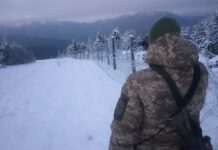 Прикордонники показали, як виглядають засніжені Карпати (фото)