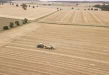 Що відбувається з цінами на землю в Україні і чому: оцінки аналітиків