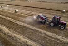 Експерти розказали, де найдорожча земля в Україні